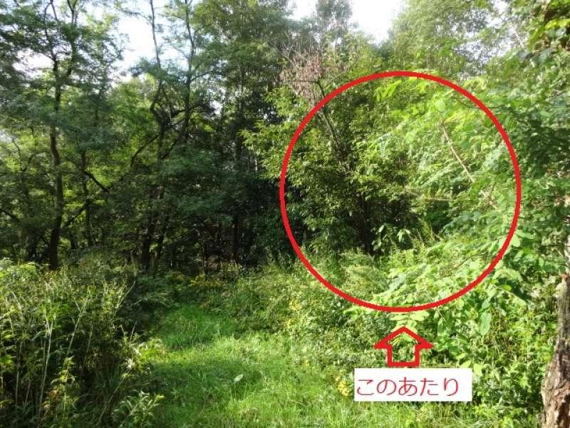 土地　神居町台場２６９ 外観