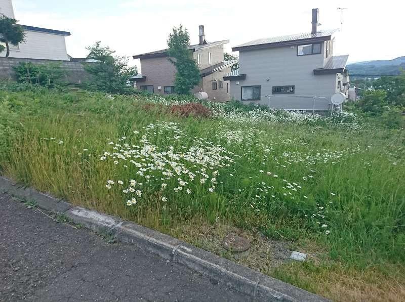 土地　神楽岡11条7丁目 内観