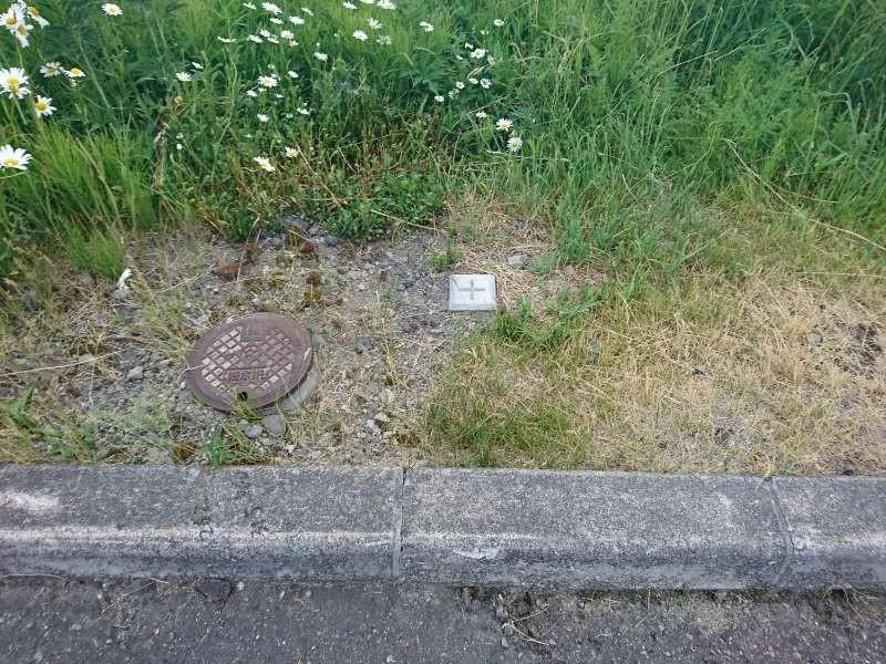 土地　神楽岡11条7丁目 内観