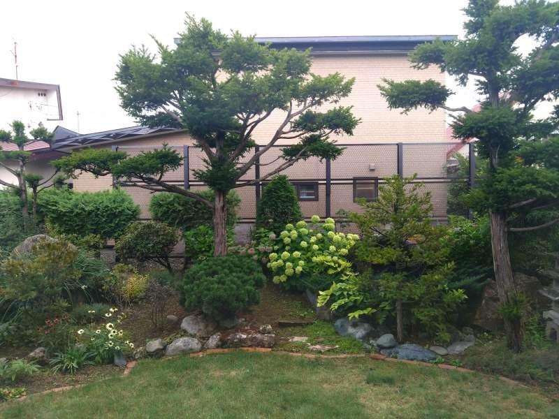 戸建　富良野市東町 内観