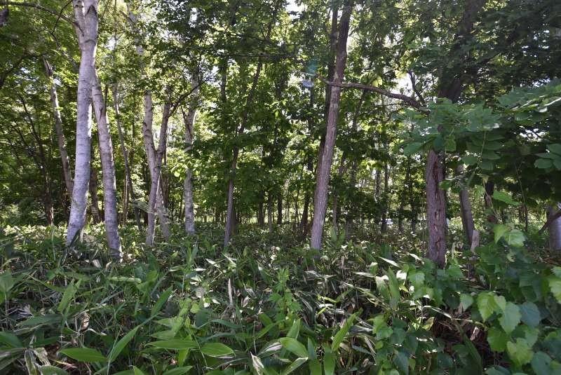 土地　春光台4条9丁目 内観