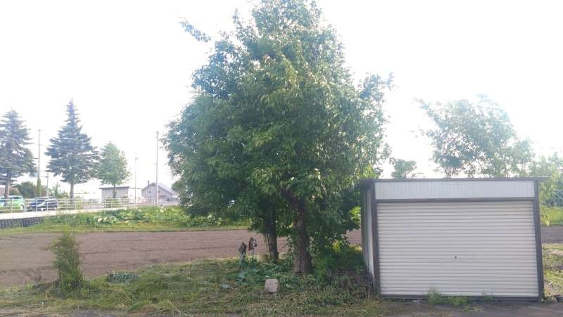 戸建　永山町15丁目 内観